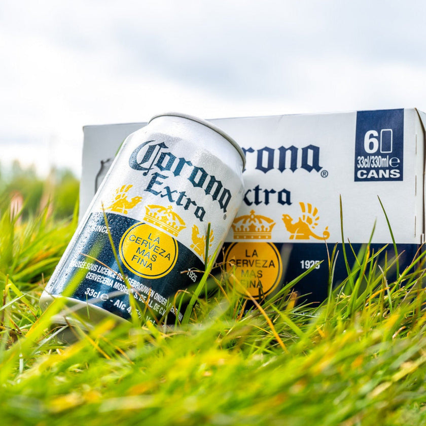 Corona 6-pack