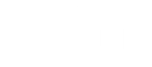 Mysteryland Festival Store